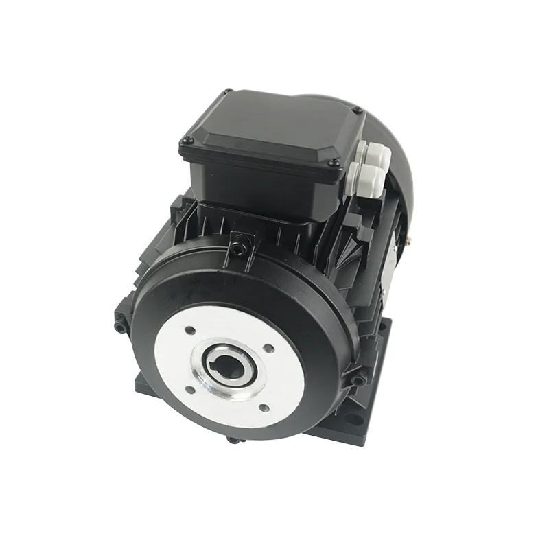 Car Washer 5.5kw 3 Phase Hollow Shaft Induction Three Phase AC Electric Motor 380V for Pump
Car Washer 5.5kw 3 Phase Hollow Shaft Induction Three Phase AC Electric Motor 380V for Pump