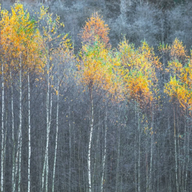 POM 48P Spur Gear Main Gear 75T 78T 82T 85T 88T 90T for 3Racing Sakura S XI XIS CS D4 D5 1/10 RC Car Upgrade Parts Accessories
POM 48P Spur Gear Main Gear 75T 78T 82T 85T 88T 90T for 3Racing Sakura S XI XIS CS D4 D5 1/10 RC Car Upgrade Parts Accessories