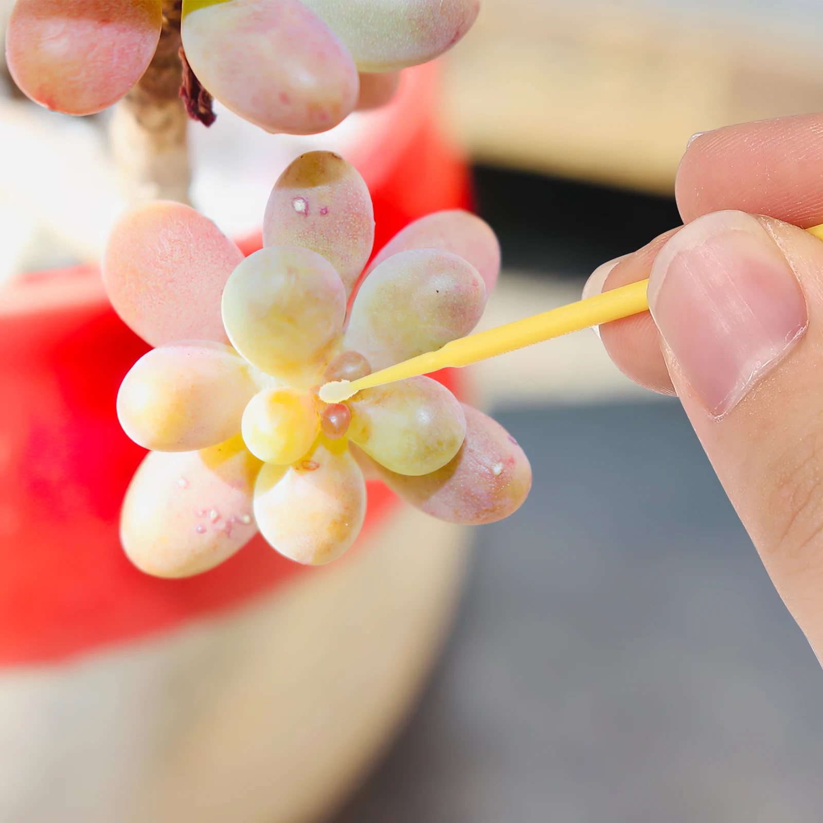 200 Pcs Pollinators Hand Pollination Tools Yellow Chalk Pen for Succulent Yard Gardening Plant Accessories Vegetable Fruit
200 Pcs Pollinators Hand Pollination Tools Yellow Chalk Pen for Succulent Yard Gardening Plant Accessories Vegetable Fruit