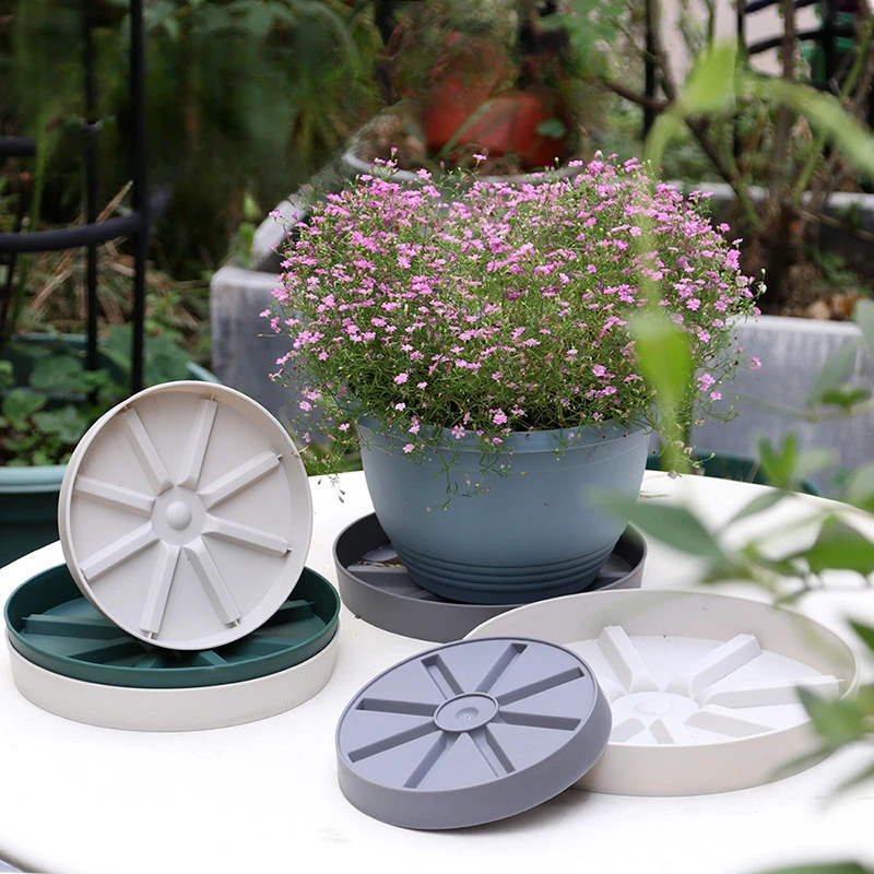 Horticultural Breathable Flowerpot Tray Thickened Plastic Root Control Base Round Water Pan
Horticultural Breathable Flowerpot Tray Thickened Plastic Root Control Base Round Water Pan