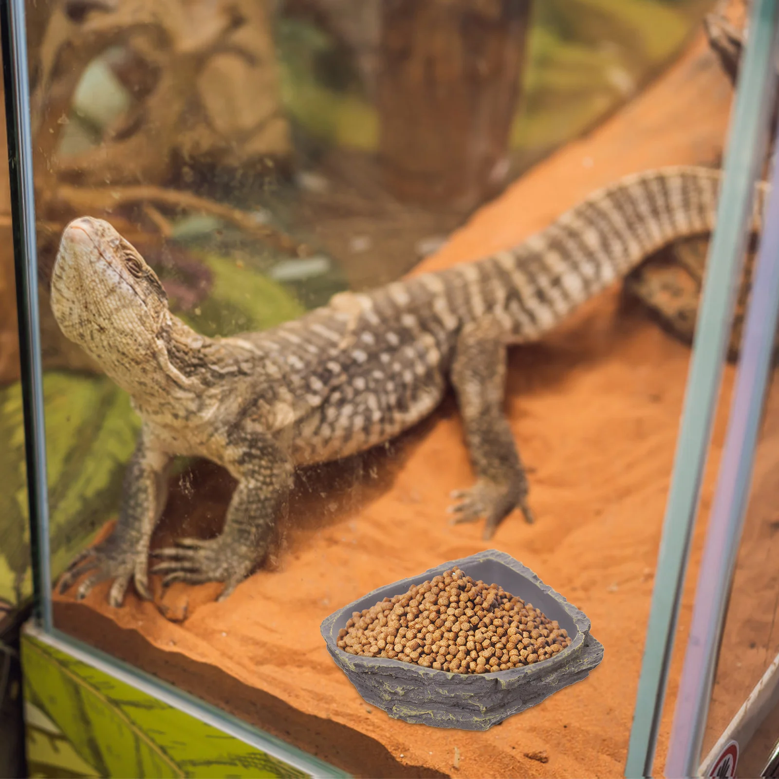 1pc Rock Feeding Bowl Resin Reptile Food Water Dish For Lizard Gecko Turtle Frog Terrapin Spider Scorpion Snake Durable
1pc Rock Feeding Bowl Resin Reptile Food Water Dish For Lizard Gecko Turtle Frog Terrapin Spider Scorpion Snake Durable