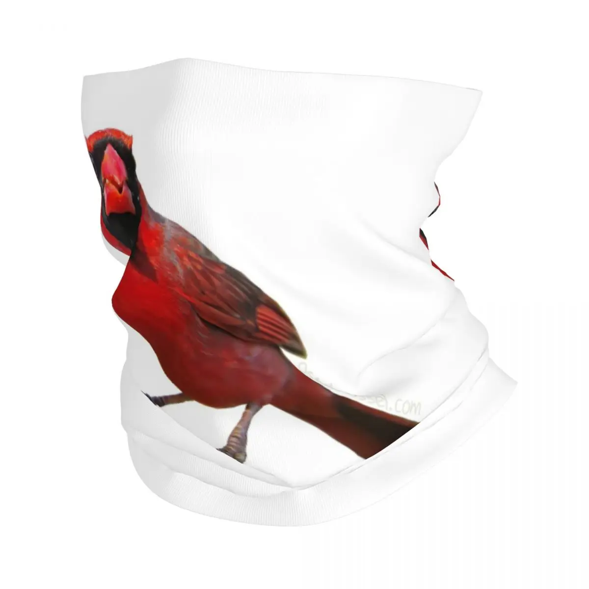 King Of The Yard II Bandana Neck Gaiter Printed Wrap Mask Scarf Multi-use Headband Hiking Fishing Unisex Adult Breathable
King Of The Yard II Bandana Neck Gaiter Printed Wrap Mask Scarf Multi-use Headband Hiking Fishing Unisex Adult Breathable