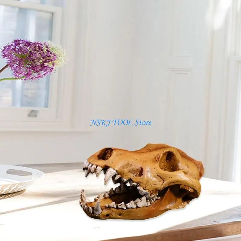 L8RC Artistic Wolf Skull Sculpture Resins Construction Animal Head Skeleton Replicas for Office Desk Decors Museums Display
L8RC Artistic Wolf Skull Sculpture Resins Construction Animal Head Skeleton Replicas for Office Desk Decors Museums Display