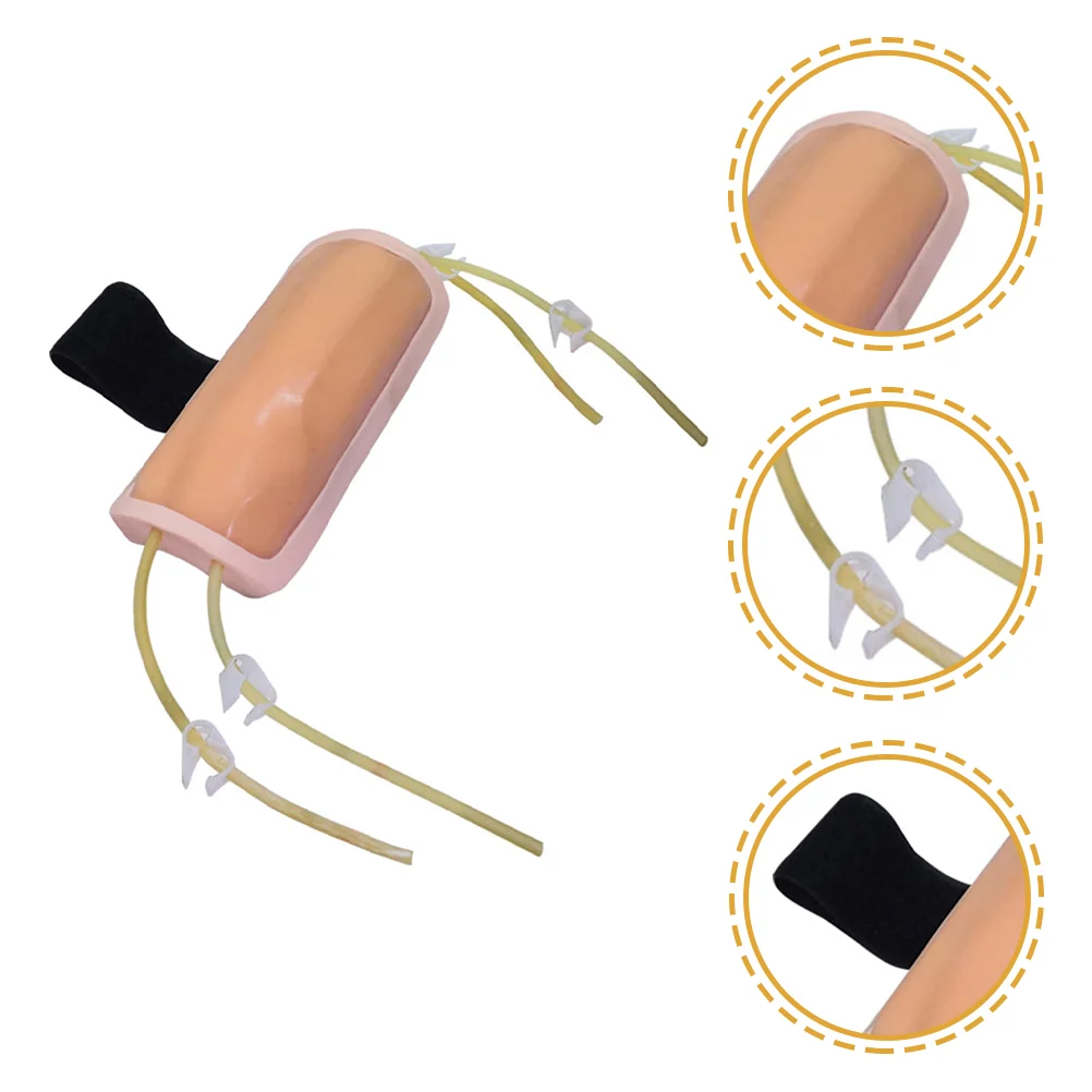 Medical Tools Blood Drawing Puncture Model Venipuncture Injection for Practice Training Phlebotomy Kit Models Infusion Pvc
Medical Tools Blood Drawing Puncture Model Venipuncture Injection for Practice Training Phlebotomy Kit Models Infusion Pvc
