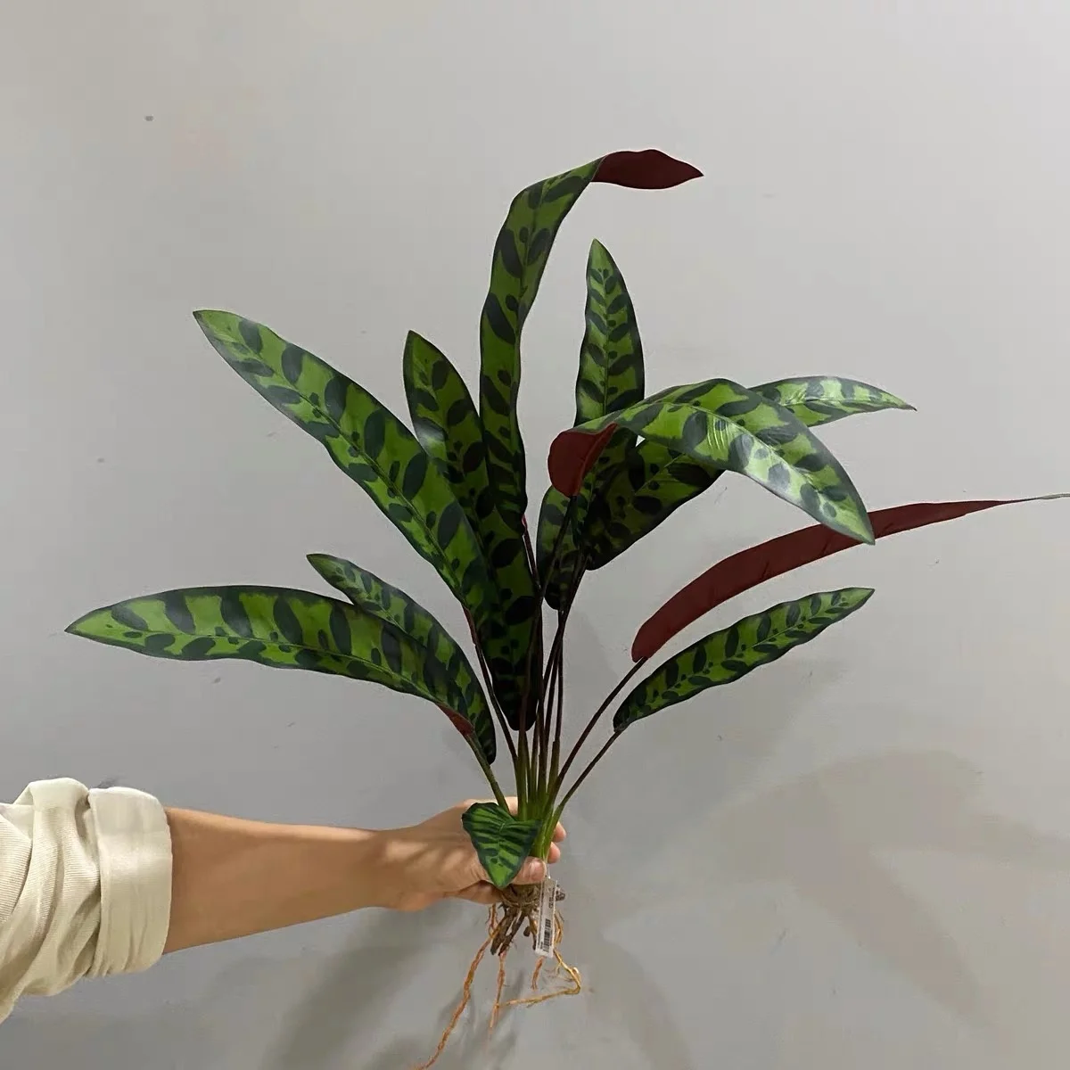 Realistic Chicken Tail Bamboo Large Simulated Fern Plants Artificial Flower for DIY Party Room Decor Outdoor Porch Decoration
Realistic Chicken Tail Bamboo Large Simulated Fern Plants Artificial Flower for DIY Party Room Decor Outdoor Porch Decoration