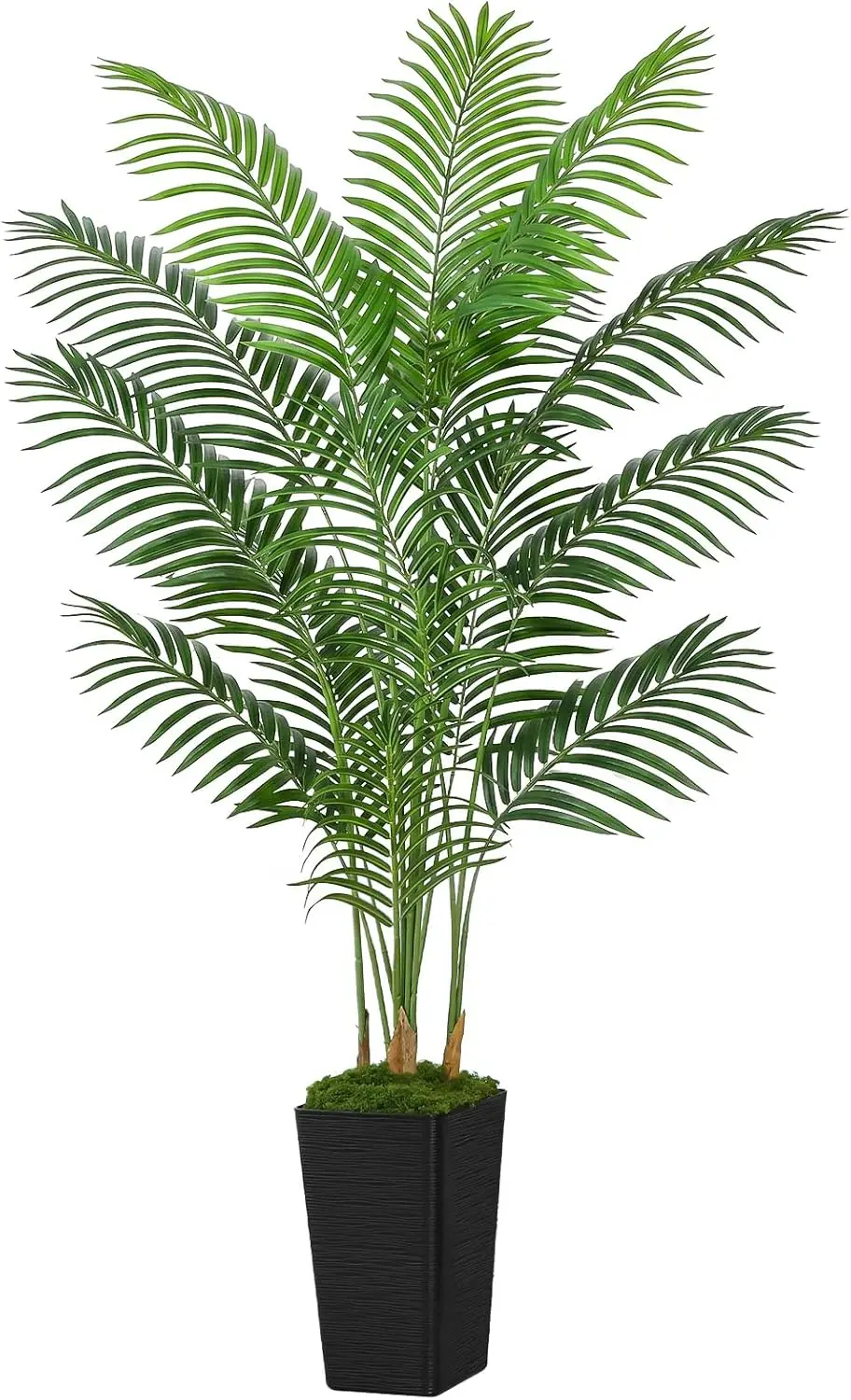 6FT Artificial Palm Tree with Black Pot, 15 Realistic Fronds for Home Patio Office Decor
6FT Artificial Palm Tree with Black Pot, 15 Realistic Fronds for Home Patio Office Decor