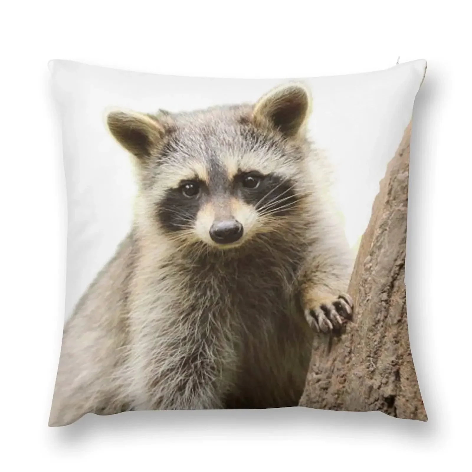 Cute racoon in nature Throw Pillow Sofa Covers Christmas Pillows Cushions Home Decor pillow
Cute racoon in nature Throw Pillow Sofa Covers Christmas Pillows Cushions Home Decor pillow