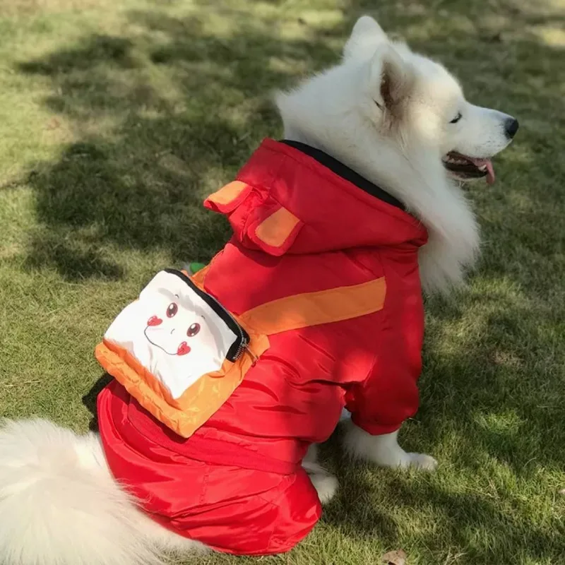 In Winter, Large Dogs Such As Shiba Inus, Golden Retrievers, and Labradors Are Kept Warm on All Four Legs
In Winter, Large Dogs Such As Shiba Inus, Golden Retrievers, and Labradors Are Kept Warm on All Four Legs