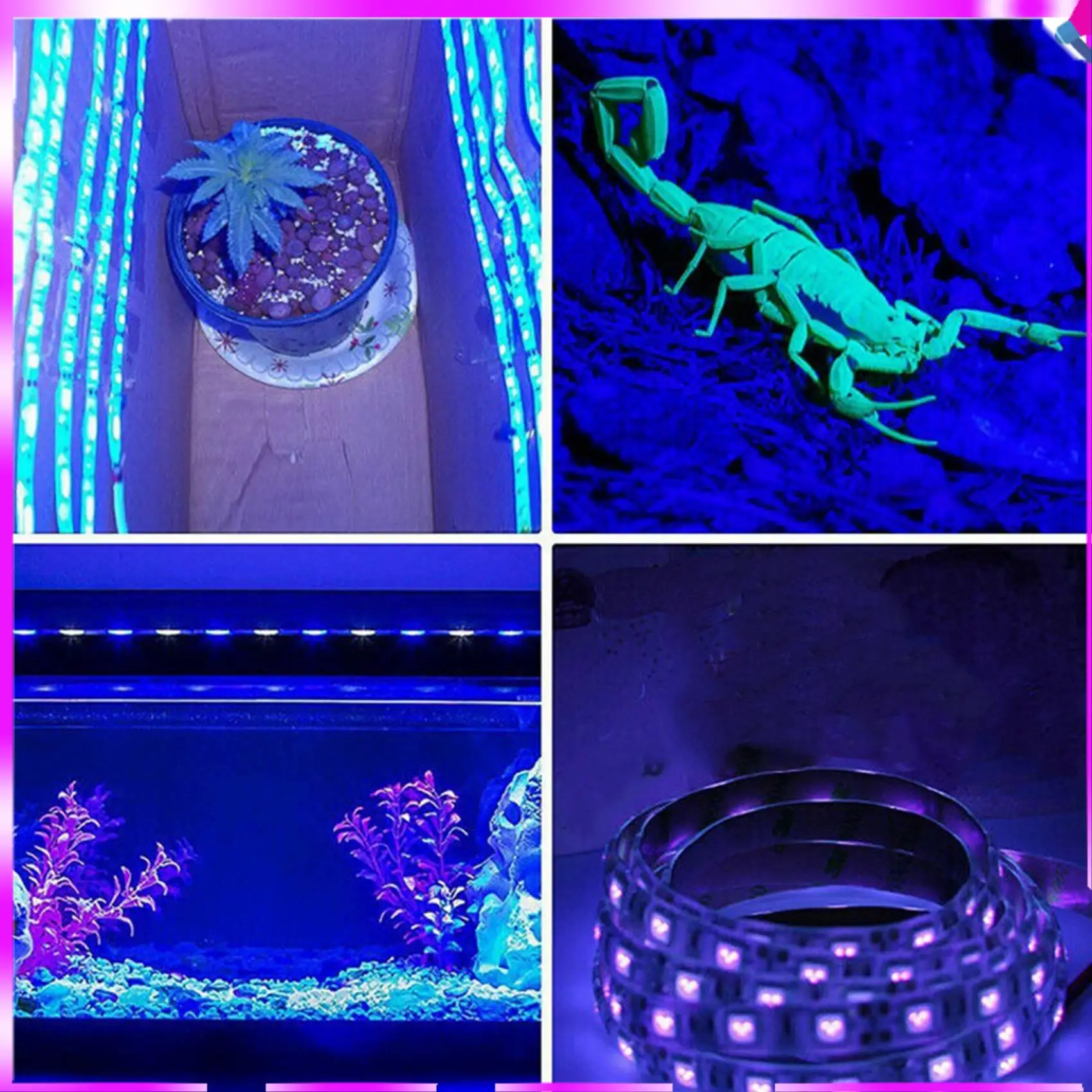 N96R 2X 20W LED UV Light Strip Ultraviolet Flexible Purple 16.5FT Blacklight 5M 300Leds
N96R 2X 20W LED UV Light Strip Ultraviolet Flexible Purple 16.5FT Blacklight 5M 300Leds
