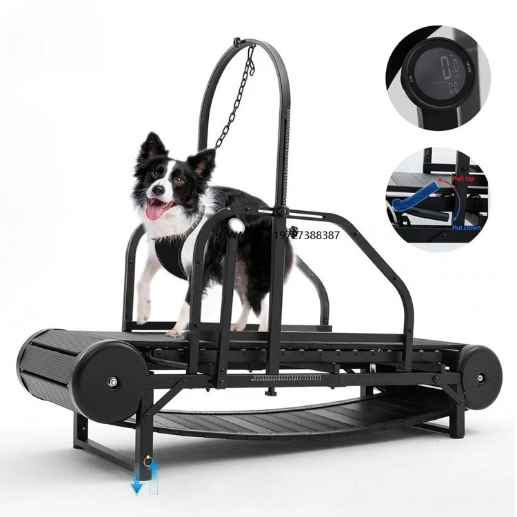 Pure Mechanical Dog Treadmill Exercise Wheels for Dogs of All Sizes No Power Required
Pure Mechanical Dog Treadmill Exercise Wheels for Dogs of All Sizes No Power Required