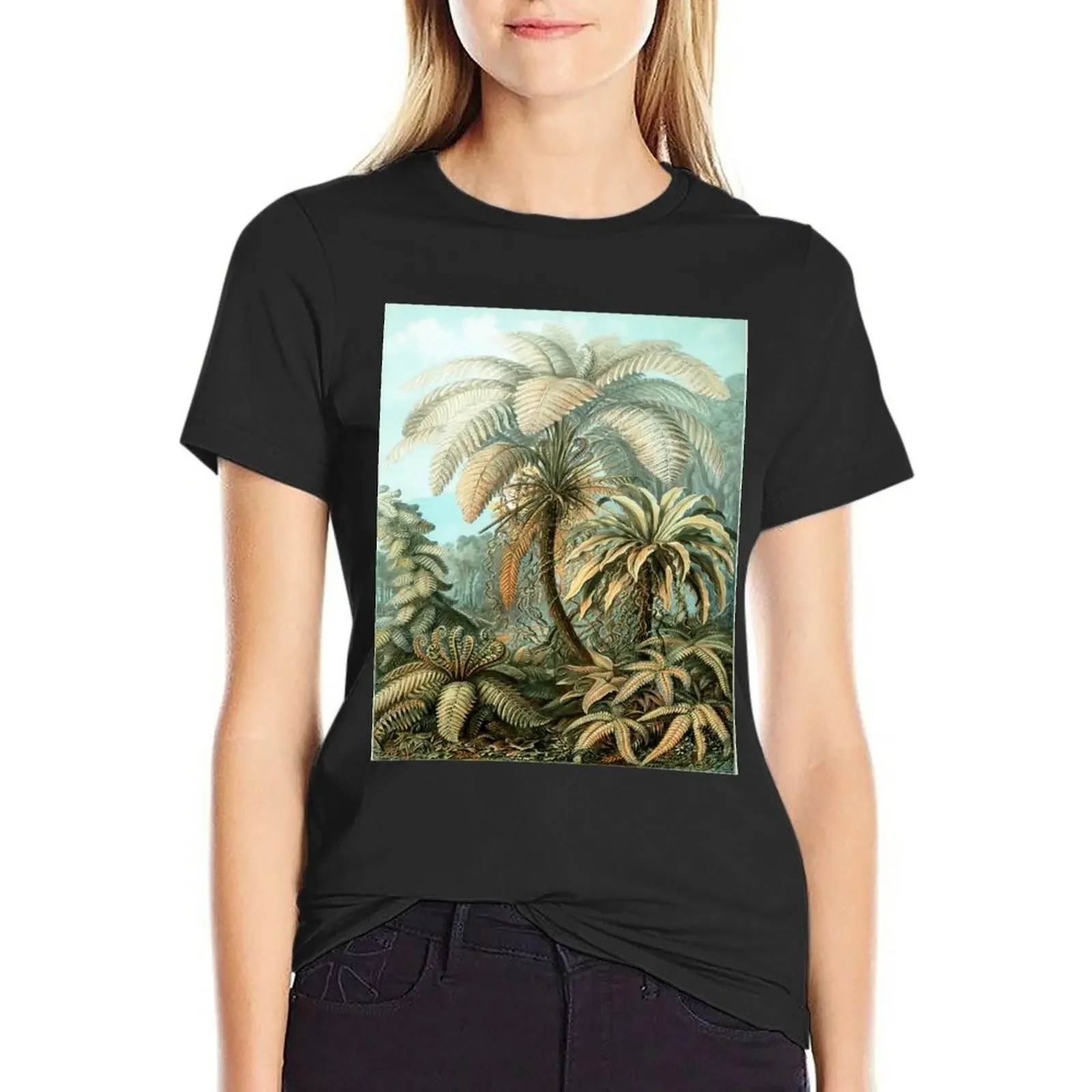 Haeckel Filicinae 92 Drawing T-Shirt Female clothing customs heavyweights graphics t-shirt dress for Women long
Haeckel Filicinae 92 Drawing T-Shirt Female clothing customs heavyweights graphics t-shirt dress for Women long