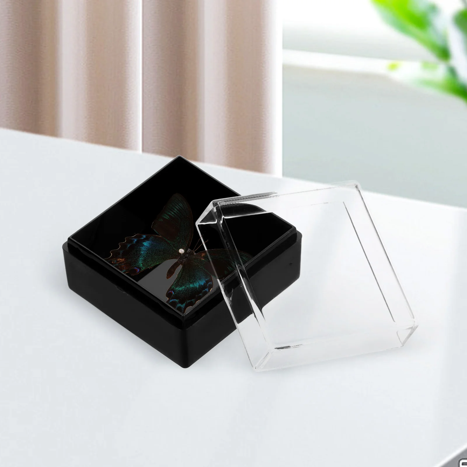 6Pcs Specimen Display Box Transparent Mineral Storage Case for Rocks Crystals Jewelry Collection Desktop Organizer Acrylic
6Pcs Specimen Display Box Transparent Mineral Storage Case for Rocks Crystals Jewelry Collection Desktop Organizer Acrylic