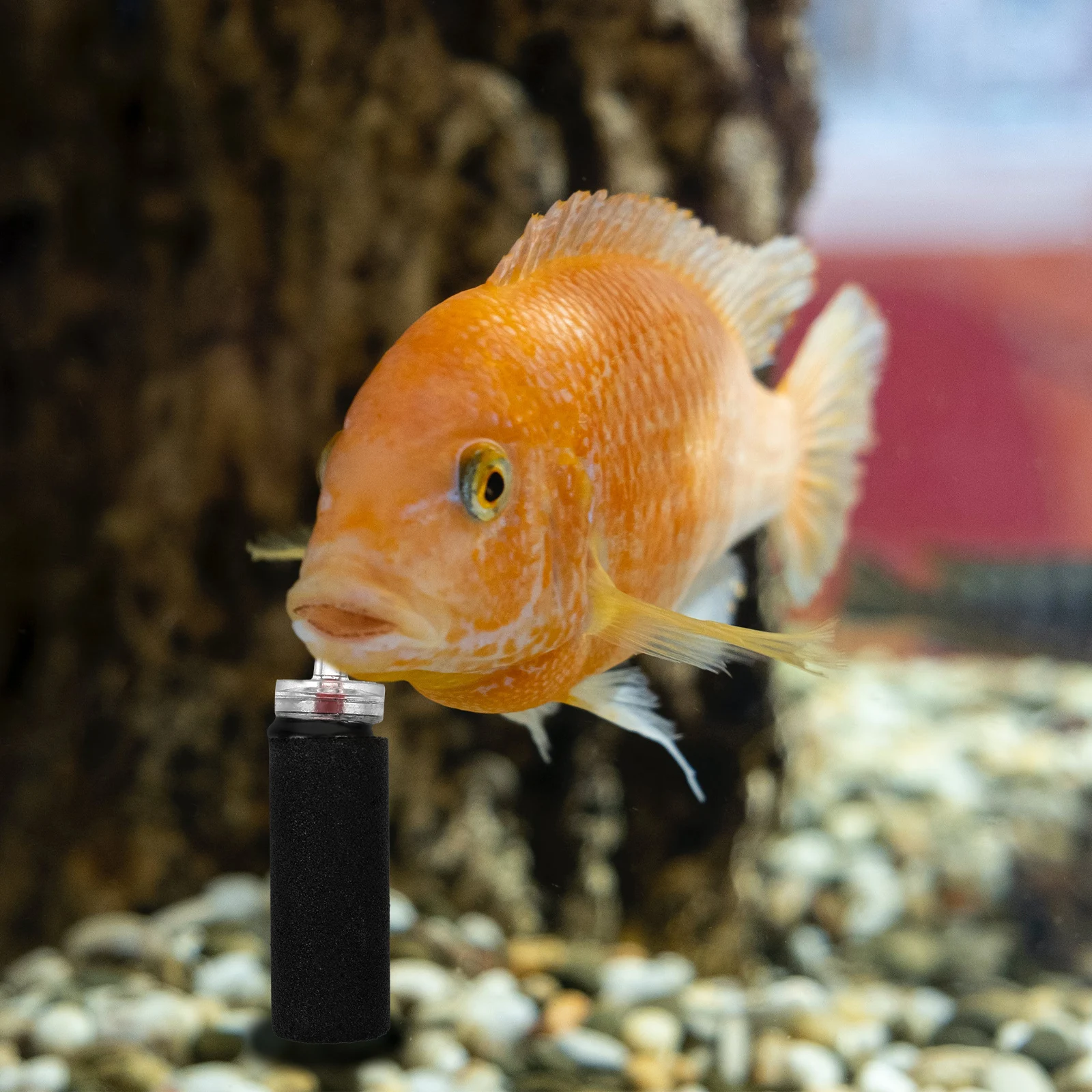 4pcs Air Stone For Fish Tank Aquarium Reusable Oxygen Bubble Release Tool Small Air Bubbler Compatible With Freshwater
4pcs Air Stone For Fish Tank Aquarium Reusable Oxygen Bubble Release Tool Small Air Bubbler Compatible With Freshwater