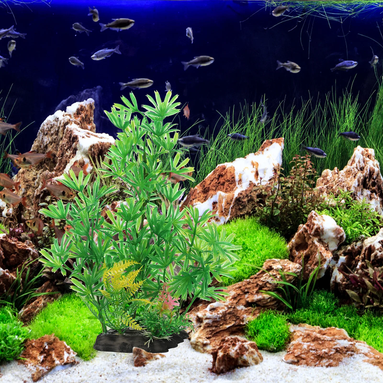 2pcs Lifelike Aquarium Plants Decorations Small Plastic Fish Tank Décor Artificial Aquatic Freshwater Ornaments
2pcs Lifelike Aquarium Plants Decorations Small Plastic Fish Tank Décor Artificial Aquatic Freshwater Ornaments