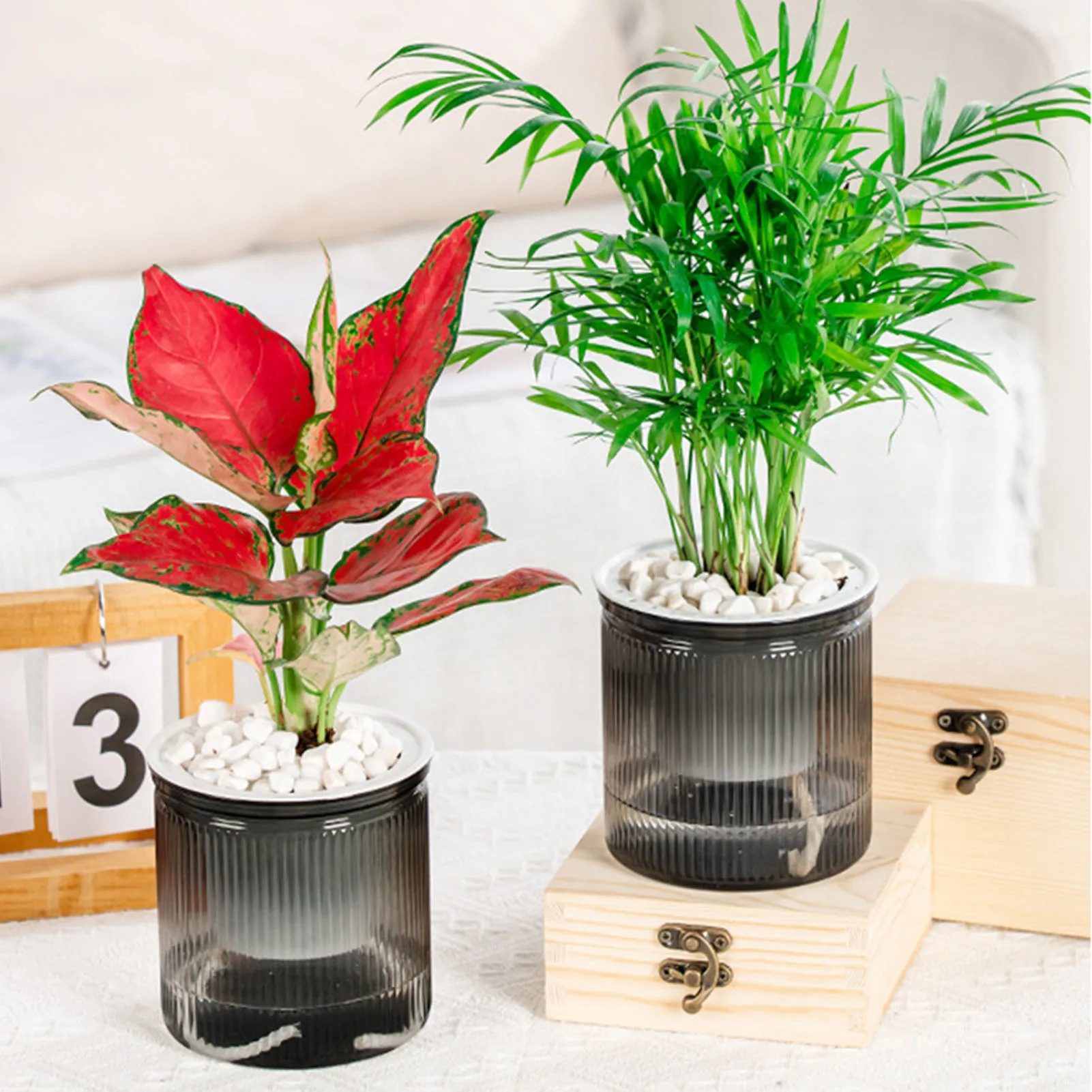 Self Watering Plant Pots Succulent Plant Flowerpot Lazy Hydroponic Water Absorbing Flower Pot Plastic Vase for Home Decoration
Self Watering Plant Pots Succulent Plant Flowerpot Lazy Hydroponic Water Absorbing Flower Pot Plastic Vase for Home Decoration