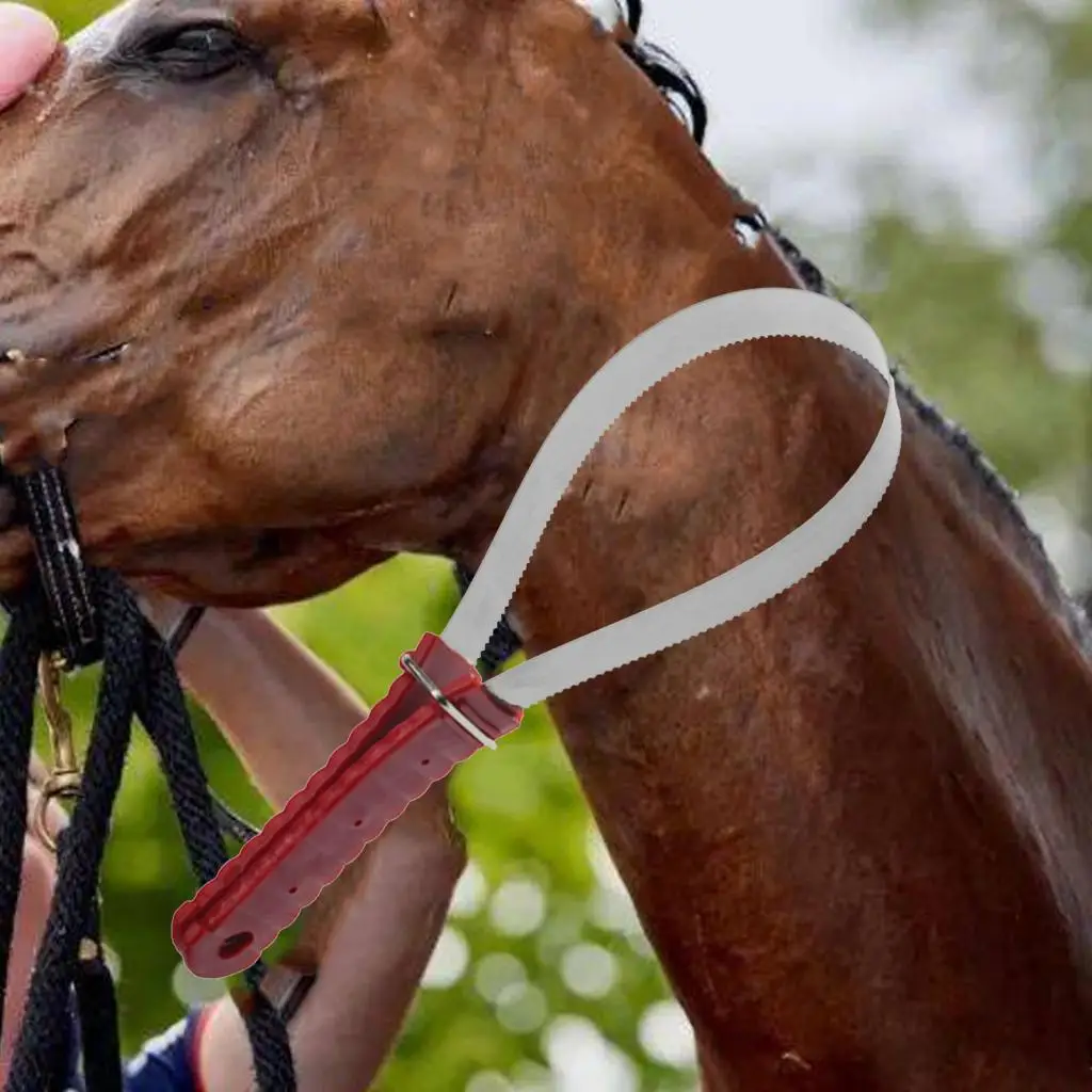 Horse Brush Blade, Metal Shedding Blade Portable Professional Comfortable Handle Curry Combo Blade for Animals, Livestock,
Horse Brush Blade, Metal Shedding Blade Portable Professional Comfortable Handle Curry Combo Blade for Animals, Livestock,