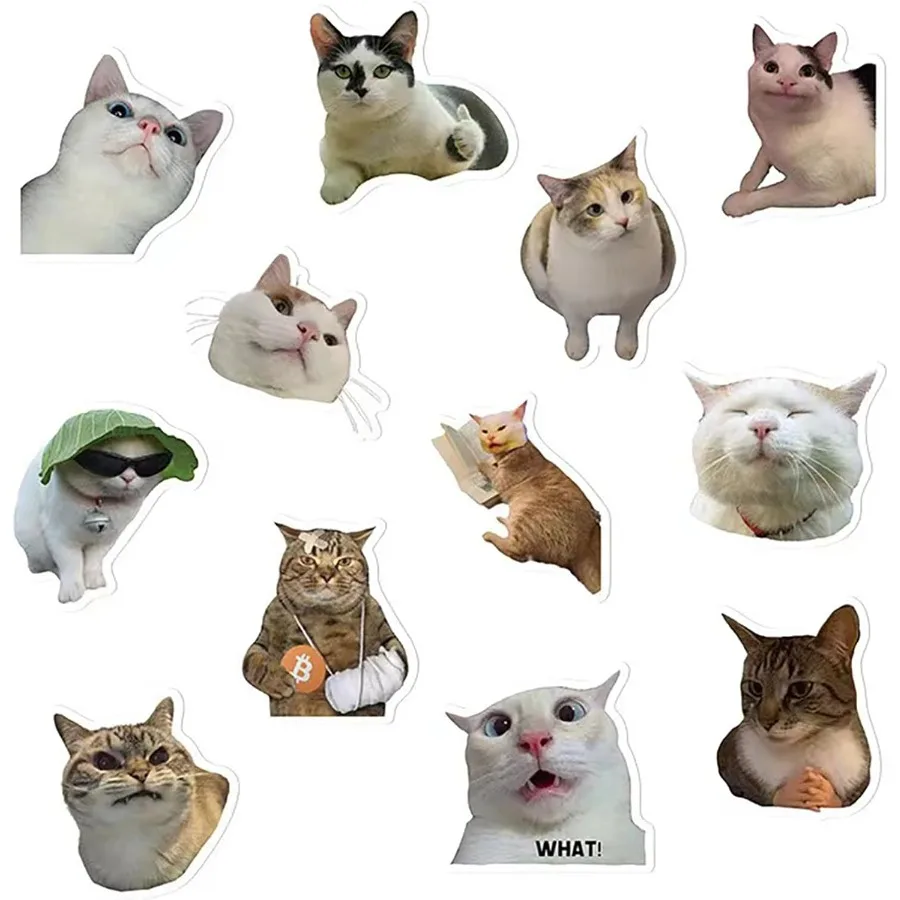 Прекрасные забавные магниты на холодильник Cat Meme, застежки для домашней кухни; Применимо к холодильнику, автомобиле, офисных шкафам, посудомоечной машине и W
Прекрасные забавные магниты на холодильник Cat Meme, застежки для домашней кухни; Применимо к холодильнику, автомобиле, офисных шкафам, посудомоечной машине и W