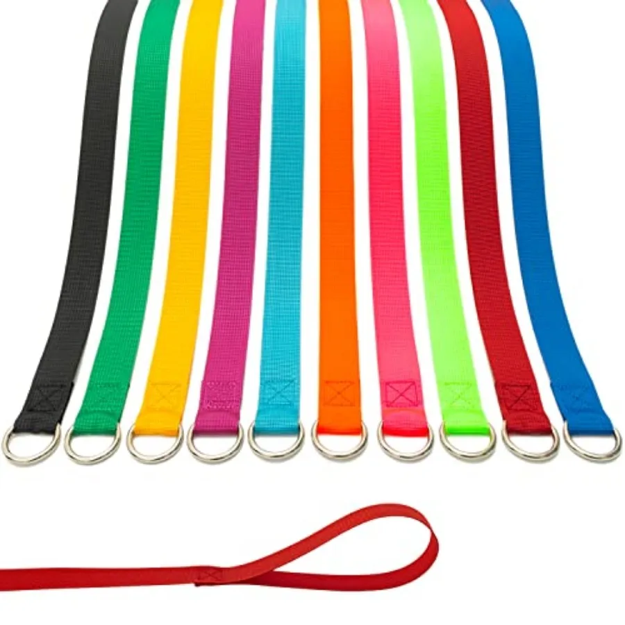 Slip Lead Dog Leash - Colorful 6 Feet Short Dog Leashes with O-Ring for Small Large Dogs Puppy Cats Walking Training Running Re
Slip Lead Dog Leash - Colorful 6 Feet Short Dog Leashes with O-Ring for Small Large Dogs Puppy Cats Walking Training Running Re
