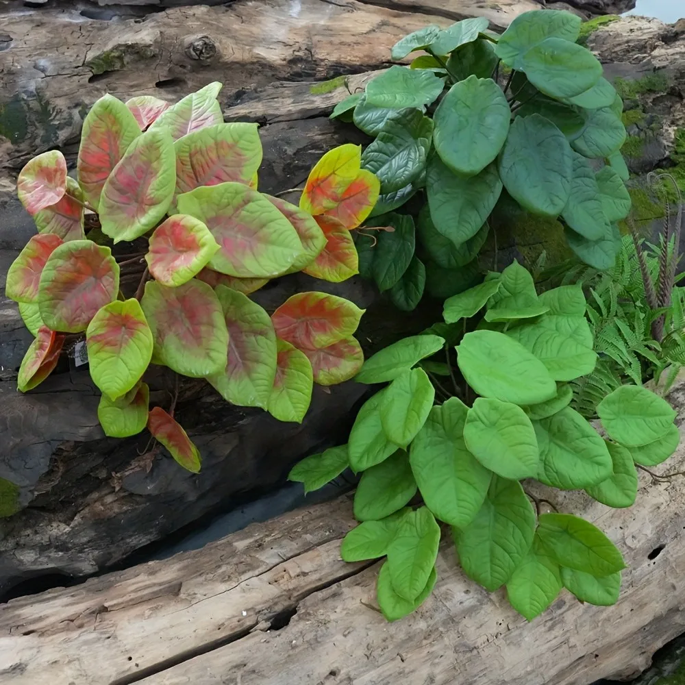 Vibrant Colors Faux Greenery 42 Leaves Realistic Simulated Green Plants Handmade Lifelike Artificial Plants Office
Vibrant Colors Faux Greenery 42 Leaves Realistic Simulated Green Plants Handmade Lifelike Artificial Plants Office