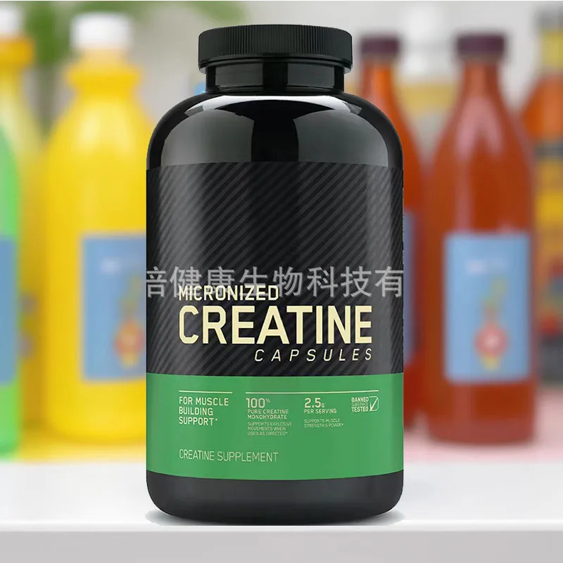 Monohydrate Capsules 60 Caps for Muscle Building! Enhance Strength & Performance - Convenient Capsule Form for Quick Absorption
Monohydrate Capsules 60 Caps for Muscle Building! Enhance Strength & Performance - Convenient Capsule Form for Quick Absorption