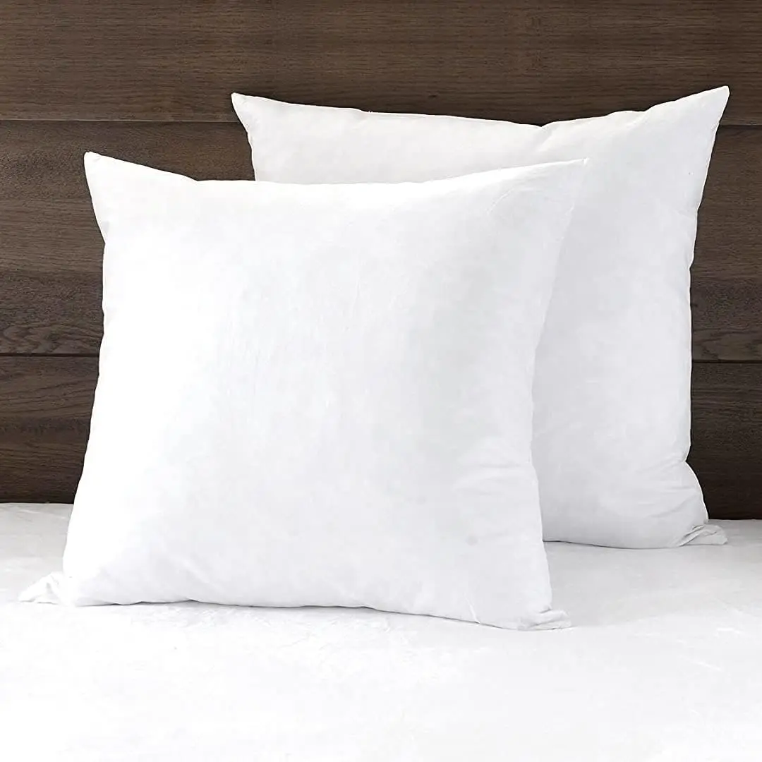 22X22 Down Feather Throw Pillow Inserts 2 Pa - Premium Soft Cotton Euro Square Decorative Pillow Core Set For Bed, Sofa, Couch,
22X22 Down Feather Throw Pillow Inserts 2 Pa - Premium Soft Cotton Euro Square Decorative Pillow Core Set For Bed, Sofa, Couch,