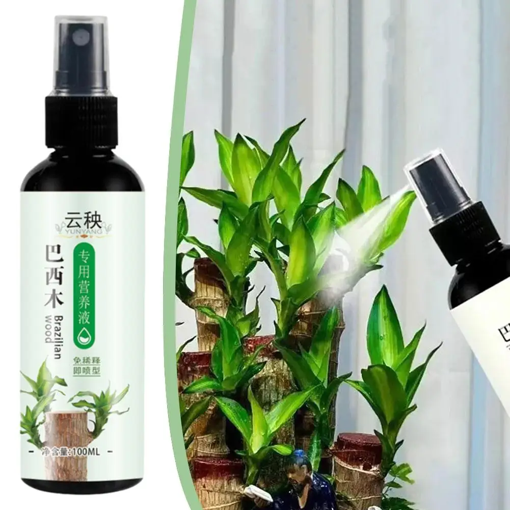 100ml Brazilian Wood Nutrient Solution Easy To Absorb Wood Liquid Fertilizers For Hydroponic Growing Flower Grow Nutrient X6S7
100ml Brazilian Wood Nutrient Solution Easy To Absorb Wood Liquid Fertilizers For Hydroponic Growing Flower Grow Nutrient X6S7
