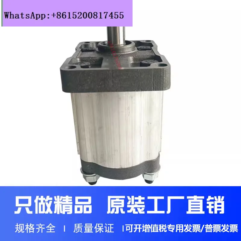 Gear pump, hydraulic oil pump CBN-F328 F314 F306 F320 F325 F316 F325 TRYY
Gear pump, hydraulic oil pump CBN-F328 F314 F306 F320 F325 F316 F325 TRYY
