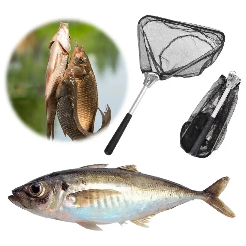 High Quality Aluminum Alloy Fishing Net Durable Black Color Mini Folding Fishing Net 50cm/19in Triangle Shape
High Quality Aluminum Alloy Fishing Net Durable Black Color Mini Folding Fishing Net 50cm/19in Triangle Shape