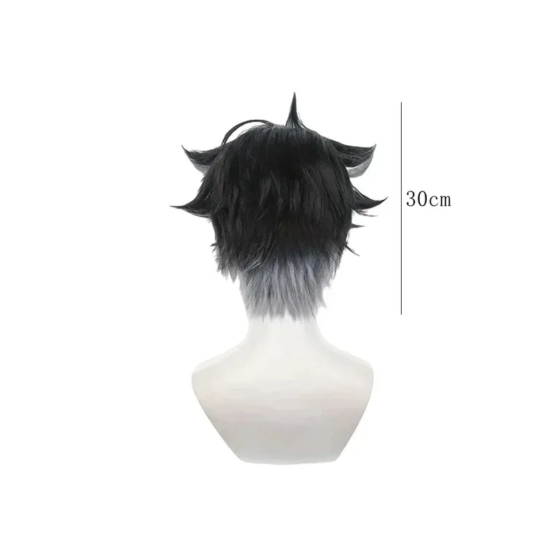 Candy 2025Wriothesley парик для ролевых игр аниме Genshin Impact косплей парики термостойкие синтетические волосы вечерние фестиваль
Candy 2025Wriothesley парик для ролевых игр аниме Genshin Impact косплей парики термостойкие синтетические волосы вечерние фестиваль