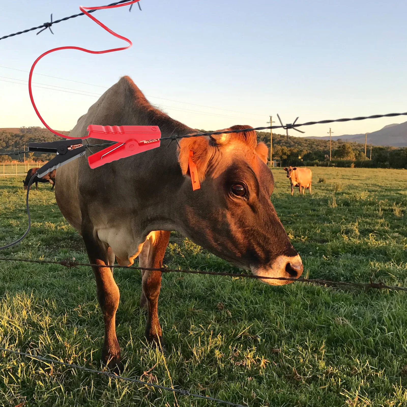Connection Cable Electric Fence Connectors Fencing System Wire Farm Jump Leads Crocodile Clip Livestock Vegetable Fruit
Connection Cable Electric Fence Connectors Fencing System Wire Farm Jump Leads Crocodile Clip Livestock Vegetable Fruit
