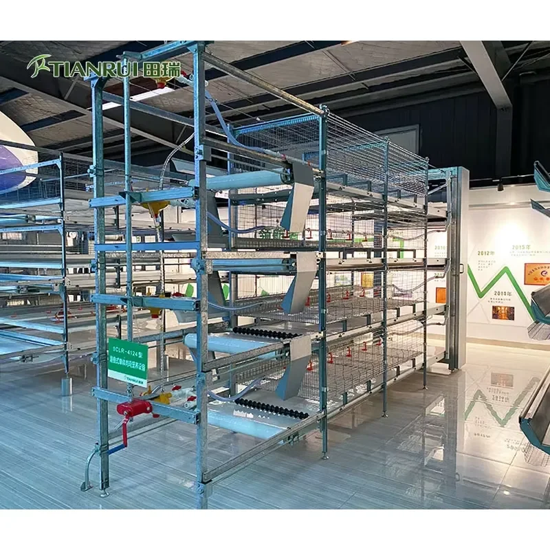 New H-Type Automatic Battery System Broiler Cages for Sale for poultry farming
New H-Type Automatic Battery System Broiler Cages for Sale for poultry farming