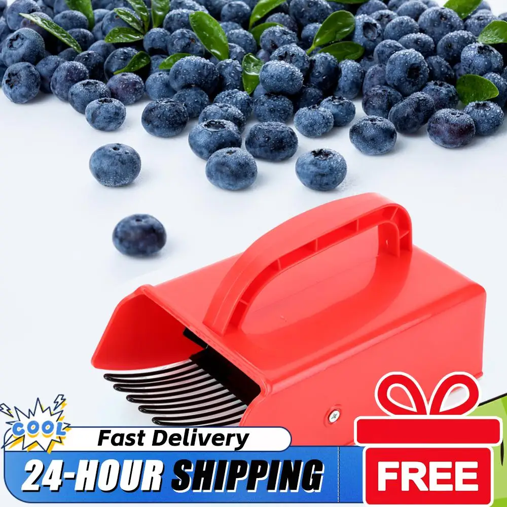 Plastic Blueberry Picker Scoop Berry Picker with Metal Comb Huckleberry Picking Rakes for Easier Berry Harvester for Blueberries
Plastic Blueberry Picker Scoop Berry Picker with Metal Comb Huckleberry Picking Rakes for Easier Berry Harvester for Blueberries