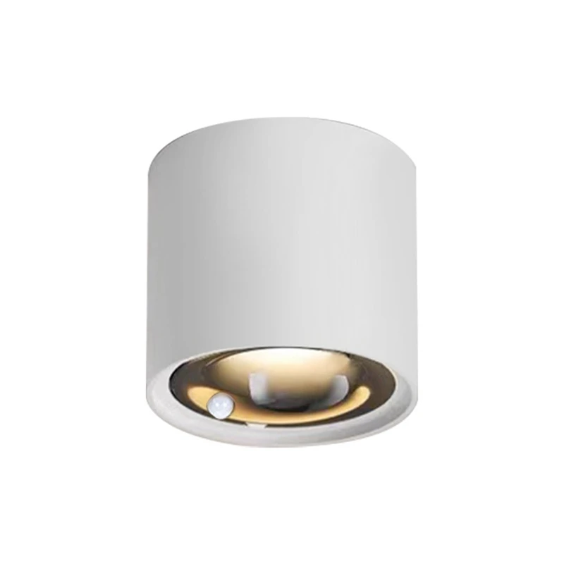 Human Body Induction Spotlight Ceiling Sensor Light Lamp Room Surface Installed 12W COB Downlight Lighting
Human Body Induction Spotlight Ceiling Sensor Light Lamp Room Surface Installed 12W COB Downlight Lighting