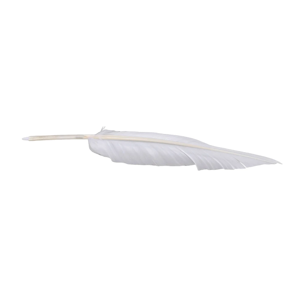 Anime Sousou of Frieren Cosplay Frieren Magic Pen Ornament Accessories Halloween Roleplay Decoration Props Party Disguise Suit
Anime Sousou of Frieren Cosplay Frieren Magic Pen Ornament Accessories Halloween Roleplay Decoration Props Party Disguise Suit