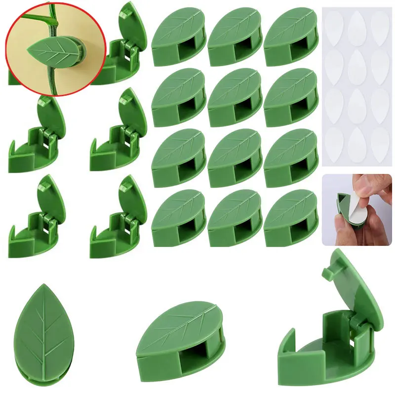 20-50Pcs Self-Adhesive Plant Climbing Wall Fixture Clips Invisible Wall Vines Fixing Clips for Indoor Outdoor Home Decor
20-50Pcs Self-Adhesive Plant Climbing Wall Fixture Clips Invisible Wall Vines Fixing Clips for Indoor Outdoor Home Decor