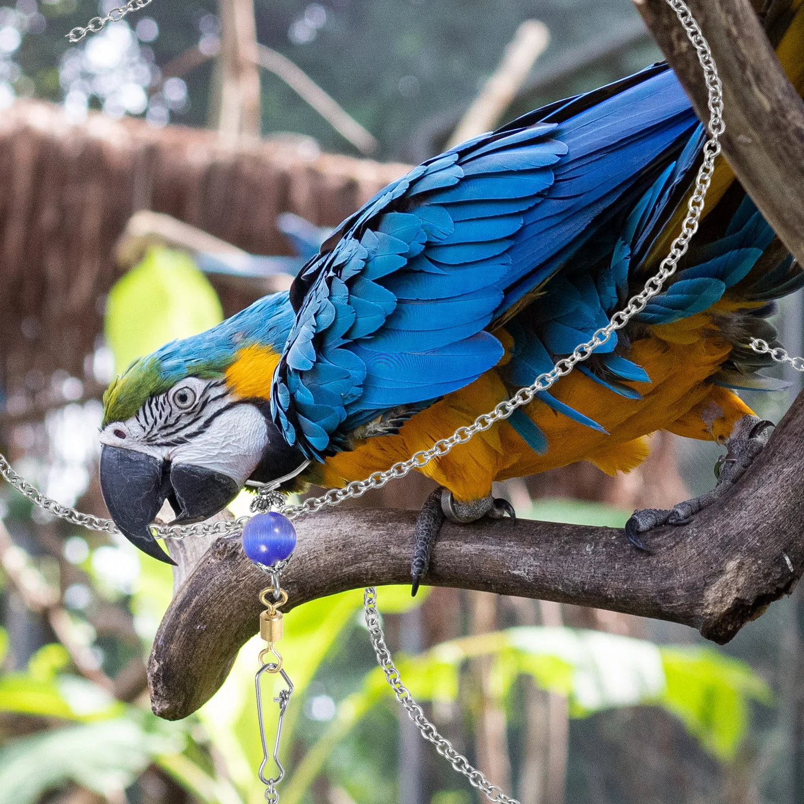 1 Set Stainless Steel Bird Neck Ring For Parrot Training Chain Lightweight Pet Bird Collar Exquisite Pendant Durable Parakeet
1 Set Stainless Steel Bird Neck Ring For Parrot Training Chain Lightweight Pet Bird Collar Exquisite Pendant Durable Parakeet