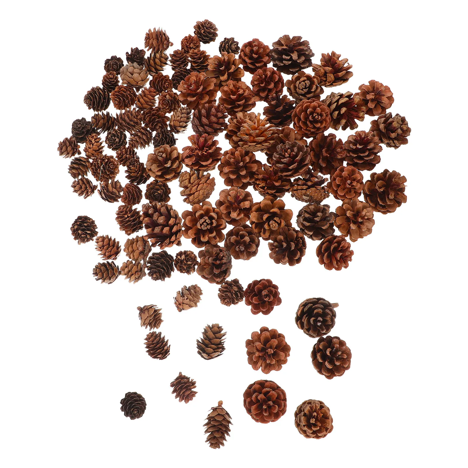 150Pcs Natural Mini Pine Cones Acorns Wood Ornaments DIY Craft Supplies Vase Fillers Autumn Decoration Holiday Party Favor
150Pcs Natural Mini Pine Cones Acorns Wood Ornaments DIY Craft Supplies Vase Fillers Autumn Decoration Holiday Party Favor
