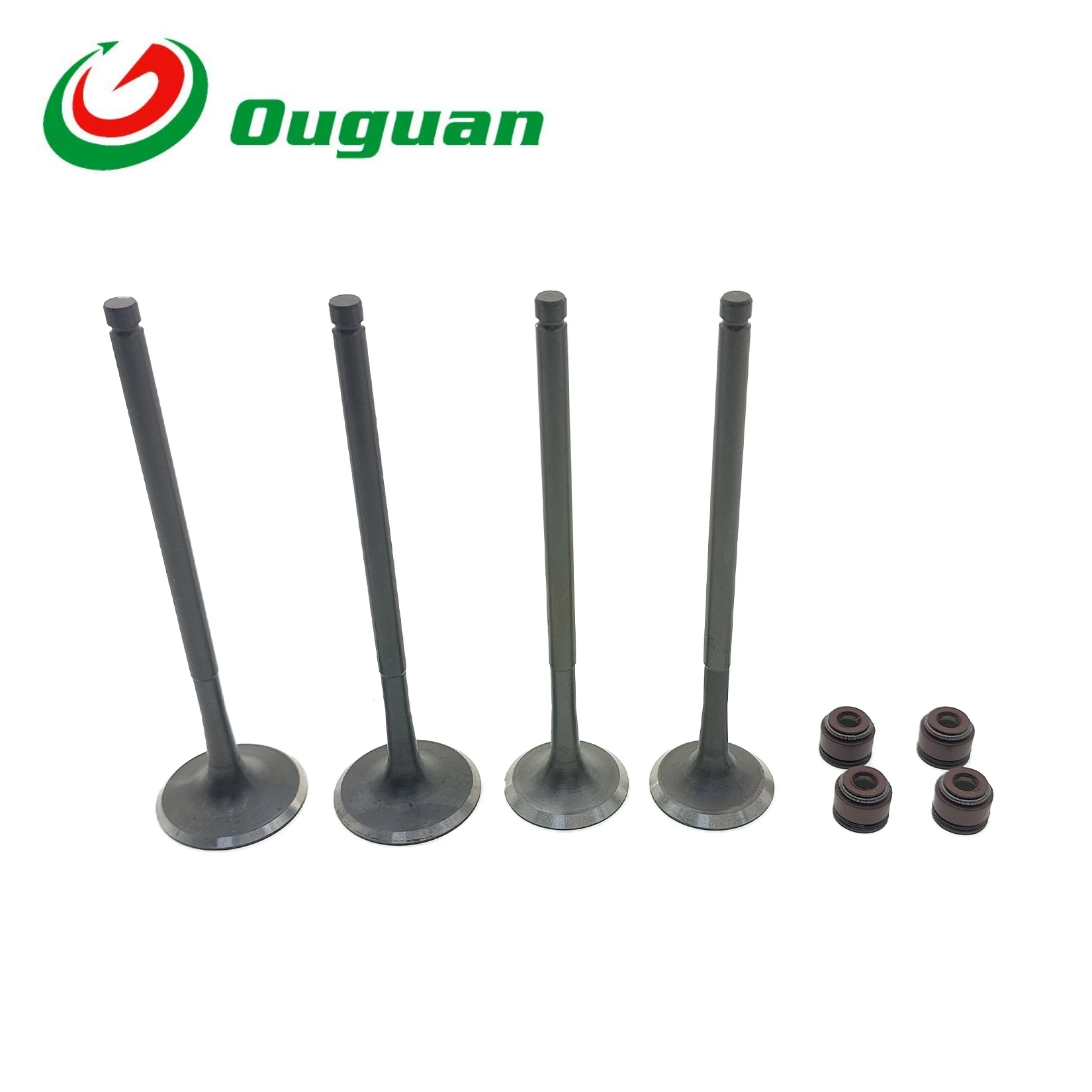 ouguan for ZONGSHEN NC250 NC 250cc ZS177MM KAYO T6 BSE J5 RX3 ZS250GY-3 Valve Intake Exhaust Stem Valve Oil Seal
ouguan for ZONGSHEN NC250 NC 250cc ZS177MM KAYO T6 BSE J5 RX3 ZS250GY-3 Valve Intake Exhaust Stem Valve Oil Seal