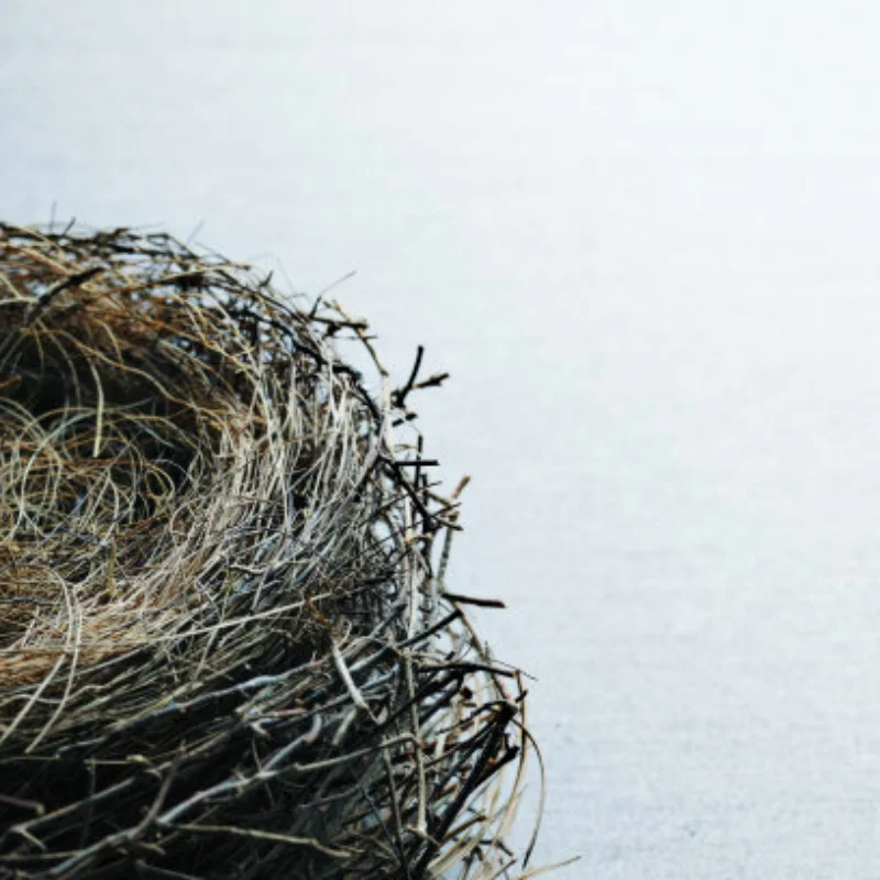 4 шт. 1/8 колеса шины 170 мм шина Weel 17 мм шестигранная ступица резиновая губка для 1/8 радиоуправляемого автомобиля Monster Truck Buggy
4 шт. 1/8 колеса шины 170 мм шина Weel 17 мм шестигранная ступица резиновая губка для 1/8 радиоуправляемого автомобиля Monster Truck Buggy