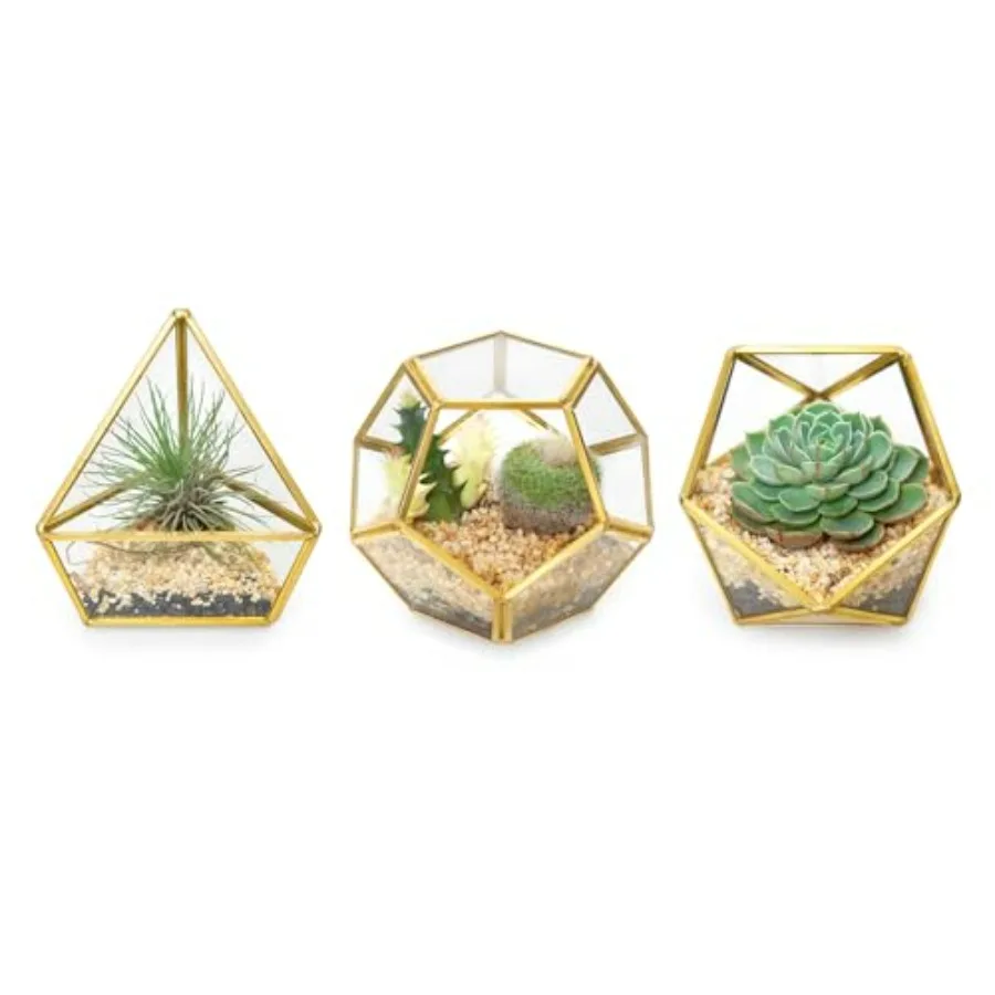 4 Inch Mini Glass Geometric Terrarium Container Set of 3 Modern Tabletop Planter Shelves Decor Display Centerpiece for Succulen
4 Inch Mini Glass Geometric Terrarium Container Set of 3 Modern Tabletop Planter Shelves Decor Display Centerpiece for Succulen