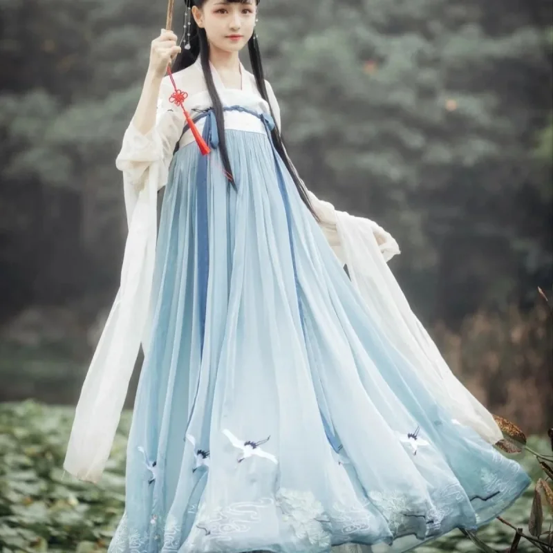 Summer Ancient Costume Fairy Hanfu Women's Dresses Elegant Maxi Tang Long Party Dress Woman Chinese Clothing Vestidos Robe Femme
Summer Ancient Costume Fairy Hanfu Women's Dresses Elegant Maxi Tang Long Party Dress Woman Chinese Clothing Vestidos Robe Femme