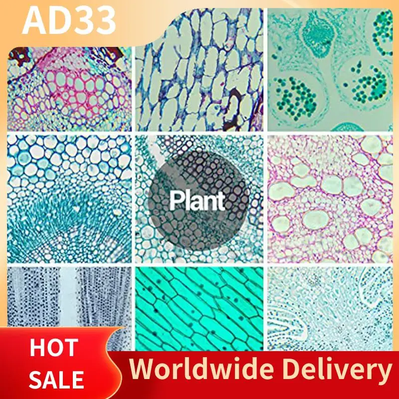 Top Deals Glass Microscope Slides With Specimens From Children, Microscope Slides For Adult Microbiology In Children,100PC
Top Deals Glass Microscope Slides With Specimens From Children, Microscope Slides For Adult Microbiology In Children,100PC