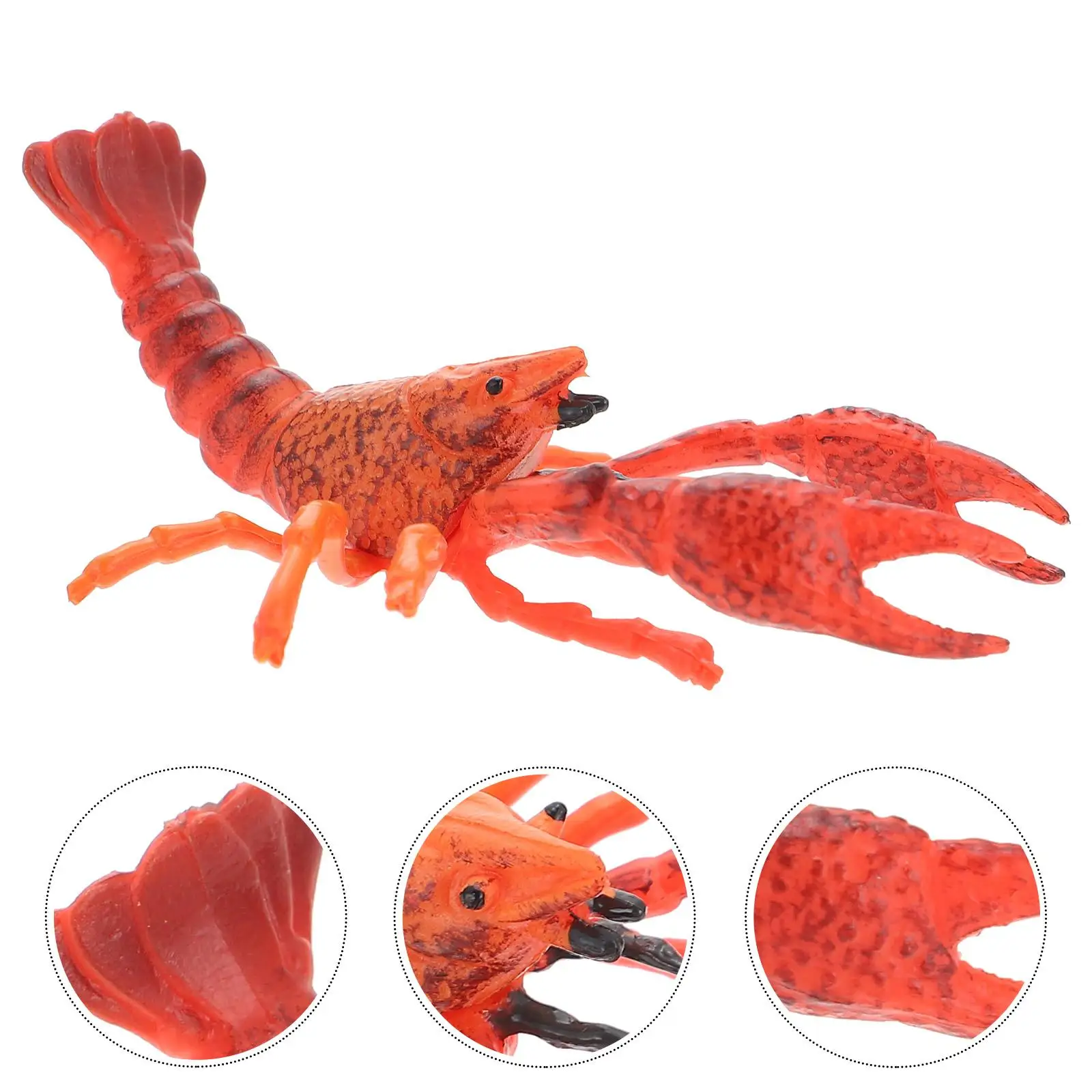 Vivid Lobster Model Toy Realistic Figurines Kids Simulation Decor Educational Plaything Unique Desk Bedroom Plastic Crafts Home
Vivid Lobster Model Toy Realistic Figurines Kids Simulation Decor Educational Plaything Unique Desk Bedroom Plastic Crafts Home