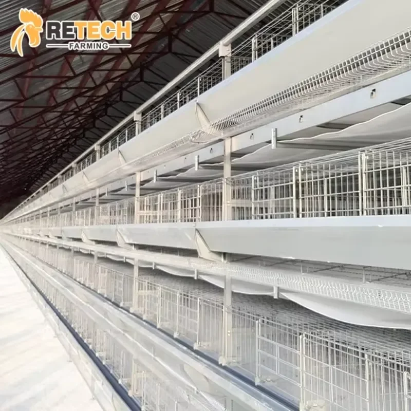 Factory Direct Sales Automatic Layer Battery Cages for Poultry Farming Equipment for 30000 Chickens
Factory Direct Sales Automatic Layer Battery Cages for Poultry Farming Equipment for 30000 Chickens