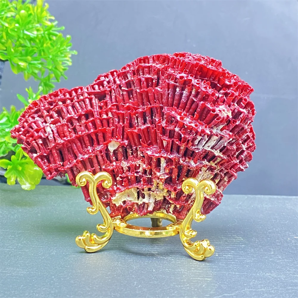 Natural Mineral Red Coral Stone Aquarium Fish Tank Decoration Beautification Home Decoration Gift Ornaments
Natural Mineral Red Coral Stone Aquarium Fish Tank Decoration Beautification Home Decoration Gift Ornaments