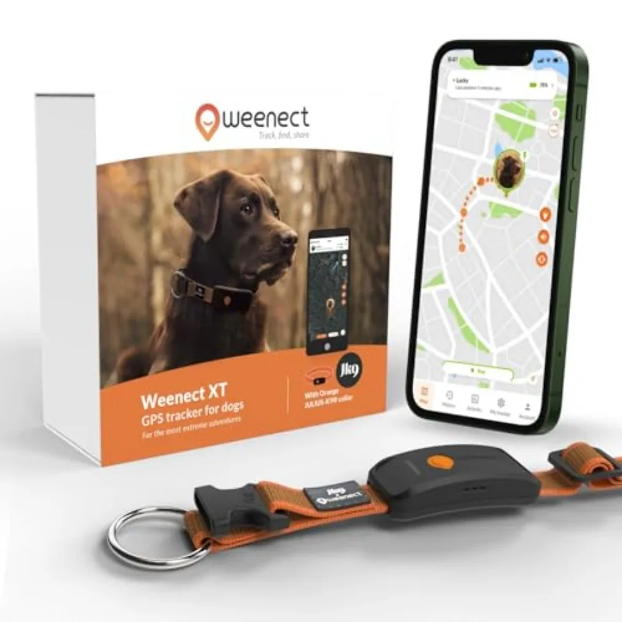 Dog XT — новый ошейник с GPS для собак, антенна XL, водонепроницаемый, сверхпрочный, встроенный ошейник Julius-K9, требуется подписка
Dog XT — новый ошейник с GPS для собак, антенна XL, водонепроницаемый, сверхпрочный, встроенный ошейник Julius-K9, требуется подписка