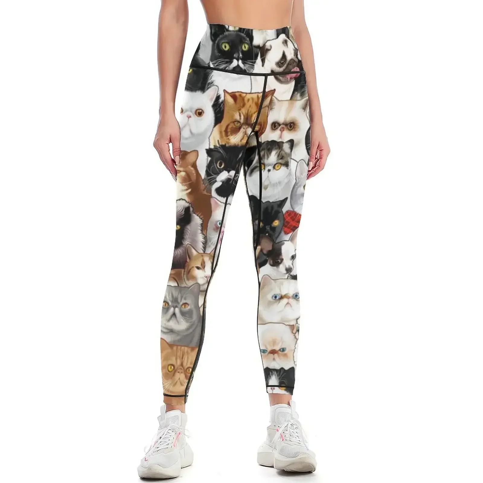 #Catminaproject by Jimiyo Leggings sport legging Women's pants workout shorts gym top Womens Leggings
#Catminaproject by Jimiyo Leggings sport legging Women's pants workout shorts gym top Womens Leggings
