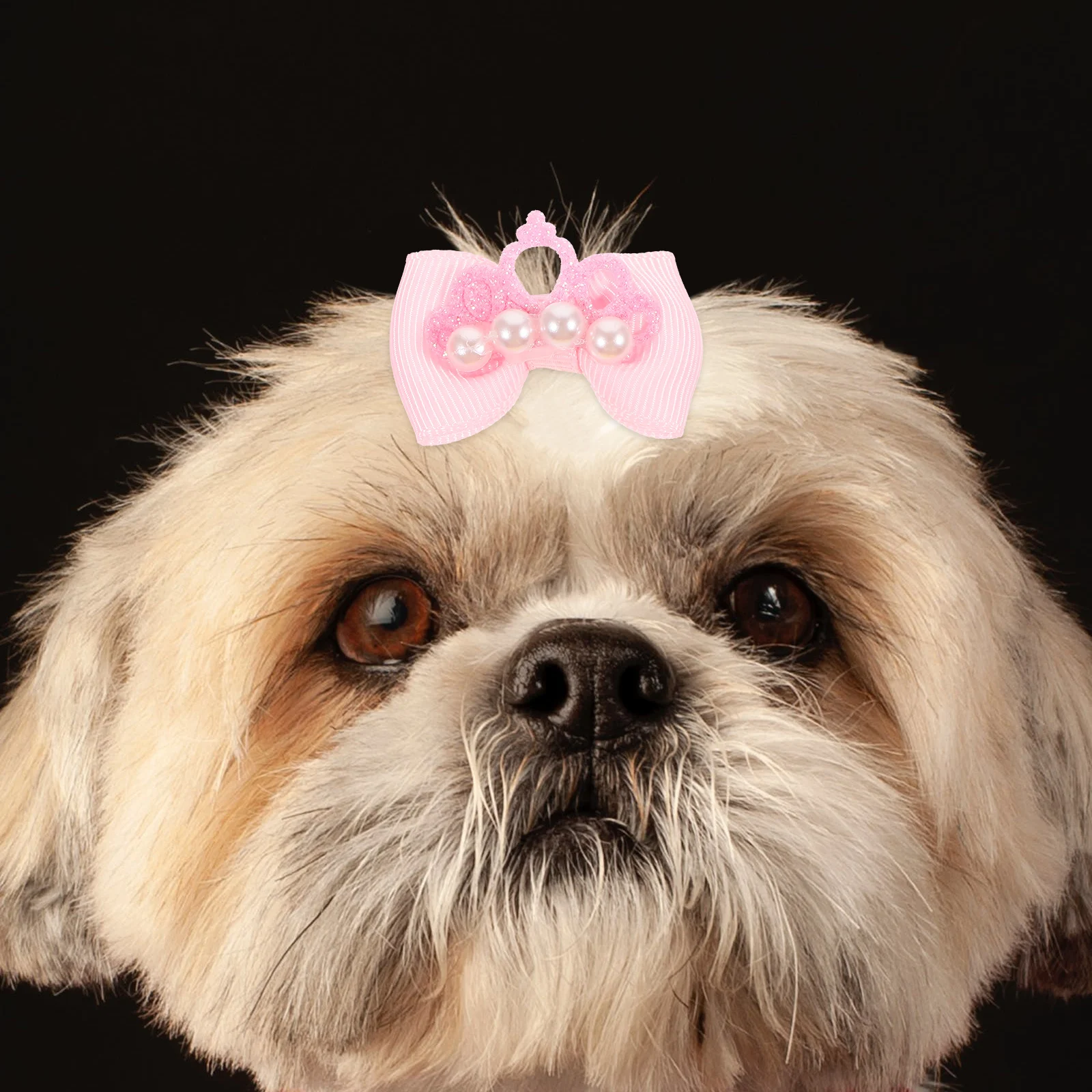 10pcs Pet Hair Accessories Dog Bows Rubber Band Small Medium Dogs Cats Rabbits Yellow Peach Halloween Christmas
10pcs Pet Hair Accessories Dog Bows Rubber Band Small Medium Dogs Cats Rabbits Yellow Peach Halloween Christmas