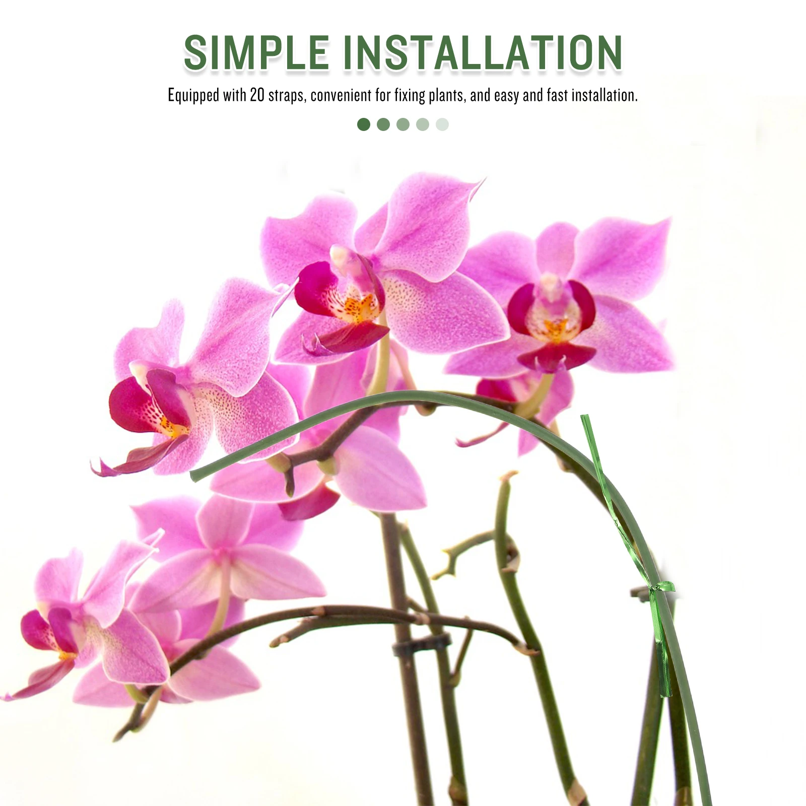 20 Pcs Plant Support Stakes Garden Flower Adjustable Shape Stand Single Stem Climbing Plants Decorative Windmill Stake
20 Pcs Plant Support Stakes Garden Flower Adjustable Shape Stand Single Stem Climbing Plants Decorative Windmill Stake