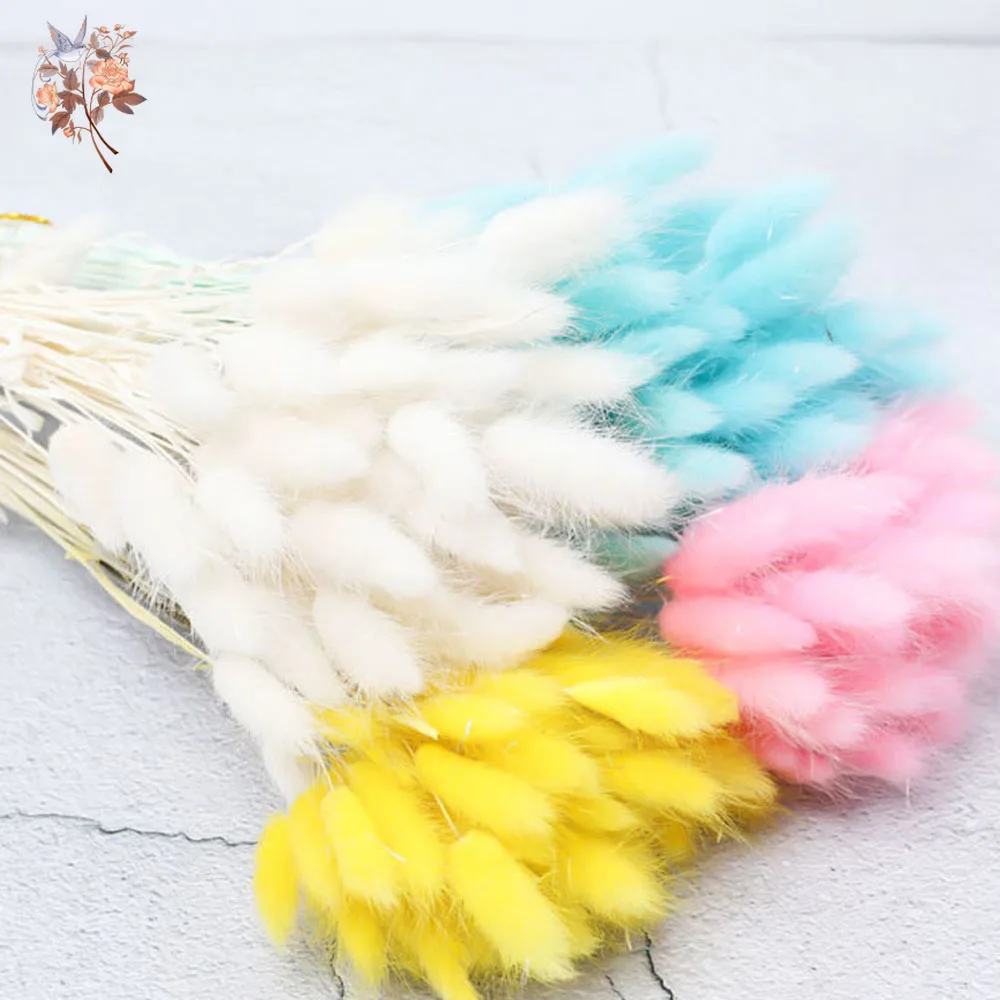 60PCS Colorful Mix Rabbit Tail Grass Lagurus Ovatus Dried Natural Flowers Bouquet Crafts DIY Home Garden Party Decor Accessories
60PCS Colorful Mix Rabbit Tail Grass Lagurus Ovatus Dried Natural Flowers Bouquet Crafts DIY Home Garden Party Decor Accessories